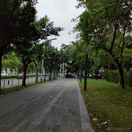 永不消逝的电磁波于2022-06-12 20:43发布的图片