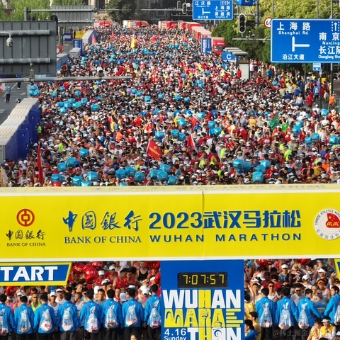 suri于2023-04-16 20:46发布的图片