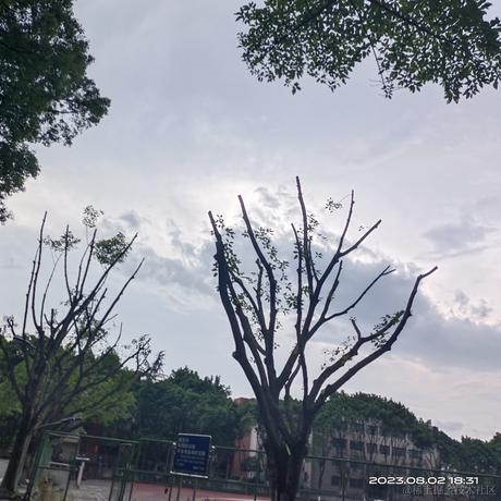 小婷呀于2023-08-02 23:12发布的图片