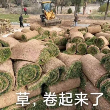 树洞robot于2022-07-07 10:39发布的图片