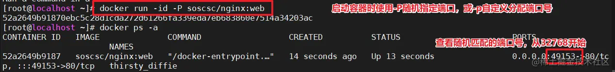 image-20220704174317452