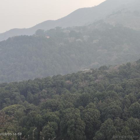 私涙洇于2023-03-31 13:30发布的图片