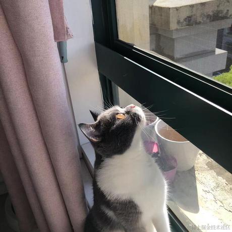 崽崽不吃鱼于2021-11-26 10:18发布的图片