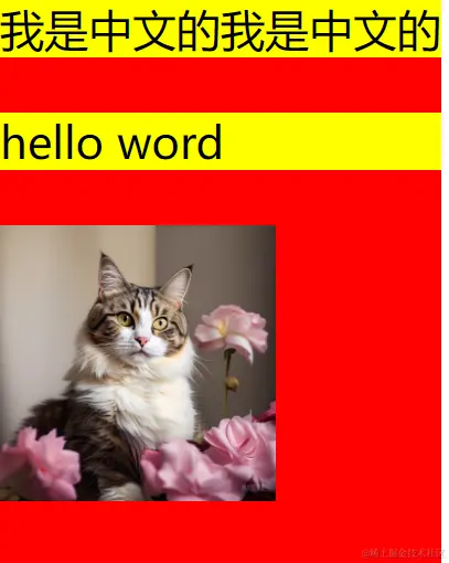 image-20240526214354187
