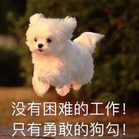 卷不过就躺于2022-11-14 08:39发布的图片