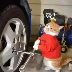 1ACBCFF0.jpg
