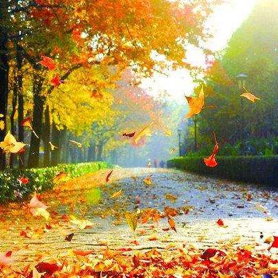 小袁先生于2022-11-09 11:49发布的图片