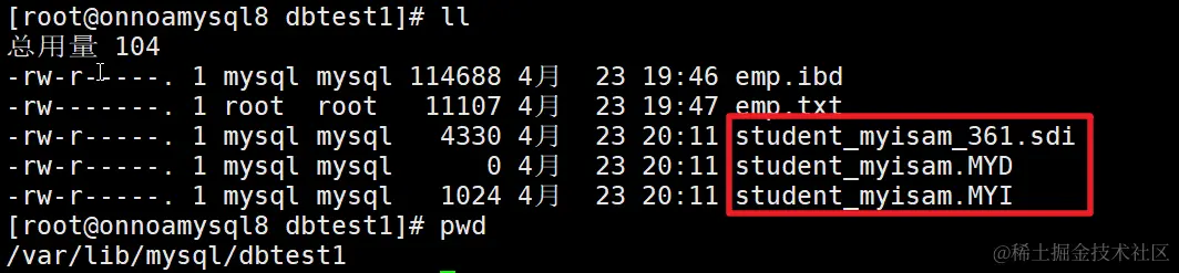 image-20240423201529405