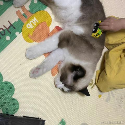慢慢爬的蜗牛于2023-05-13 21:51发布的图片
