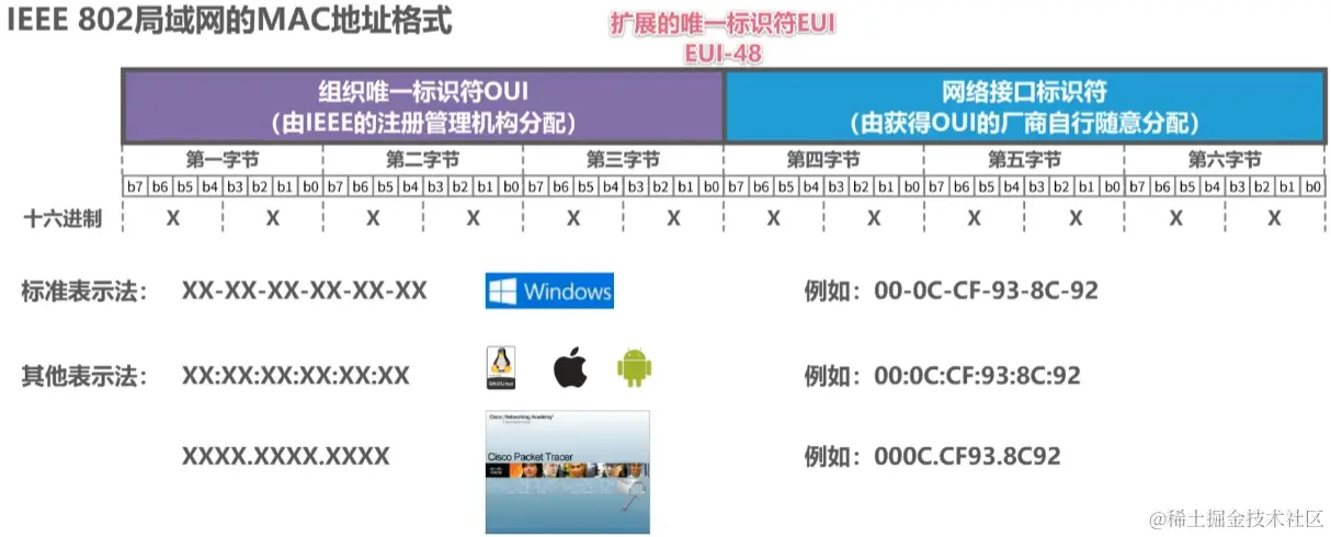 image-20230724042353679