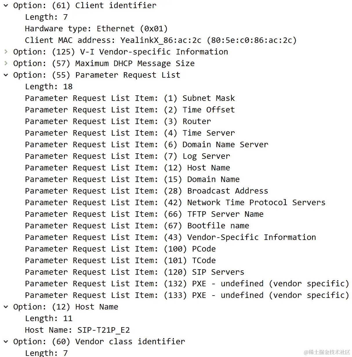图 11.10 - “Discover”数据包中的 DHCP 选项