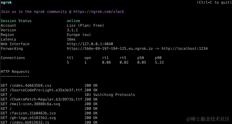 ngrok-example-usage（ngrok-示例-用法）