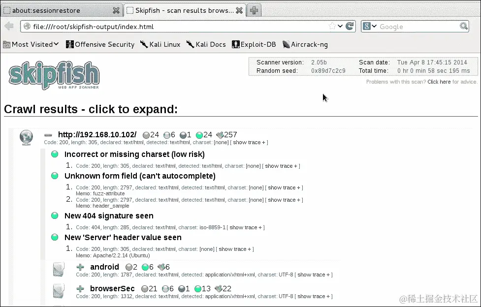 使用 SkipFish 进行扫描