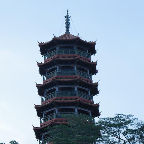 折花赠汝于2023-07-25 11:18发布的图片