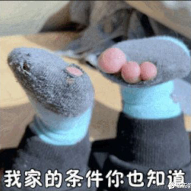 vannvan于2021-04-30 20:17发布的图片