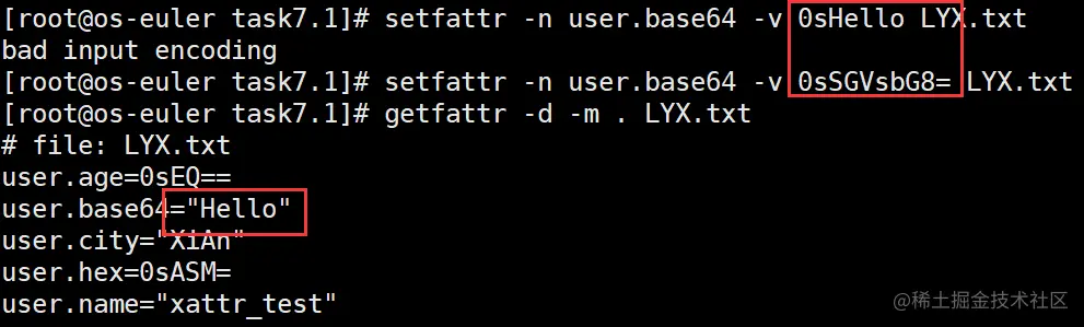 image-20211226162405221