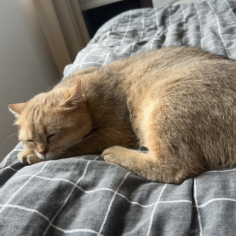 划水摸鱼一天又一天于2024-06-04 10:51发布的图片