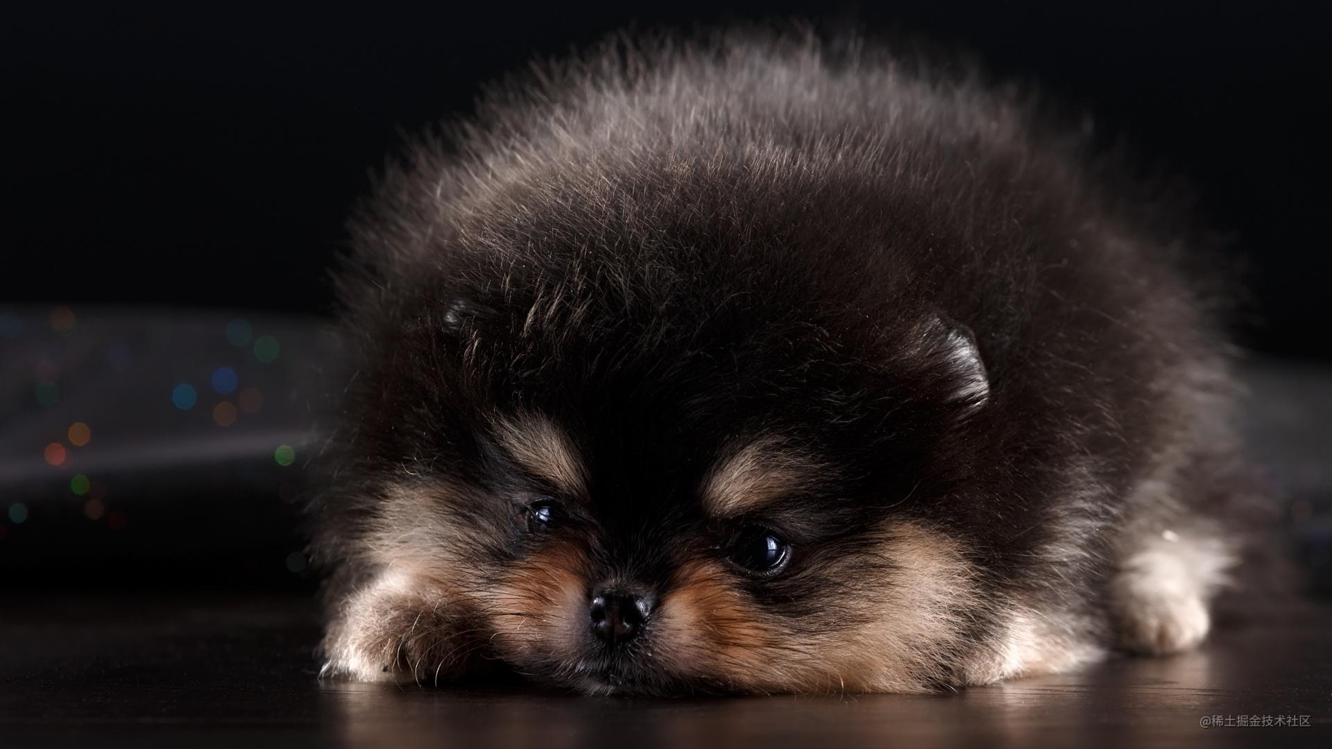 机器学习去看戏