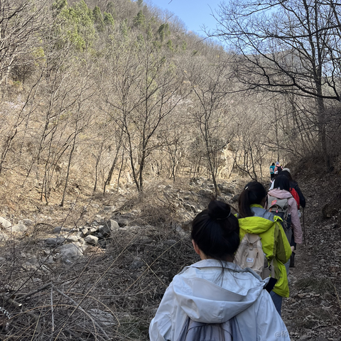 codeniu于2023-03-14 08:32发布的图片