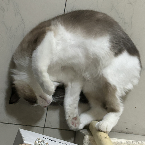 慢慢爬的蜗牛于2023-05-19 15:01发布的图片