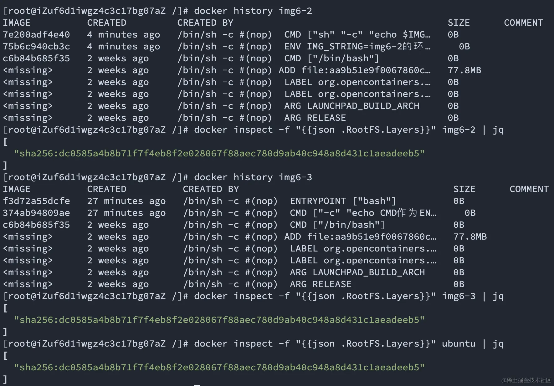 image-20230905154829449