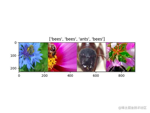 ['蜜蜂'，'蜜蜂'，'蚂蚁'，'蜜蜂']