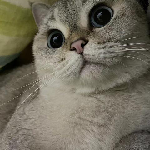 好一个大憨憨于2023-05-16 09:38发布的图片