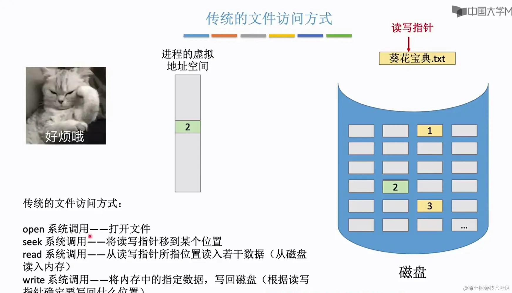 image-20240224215306707