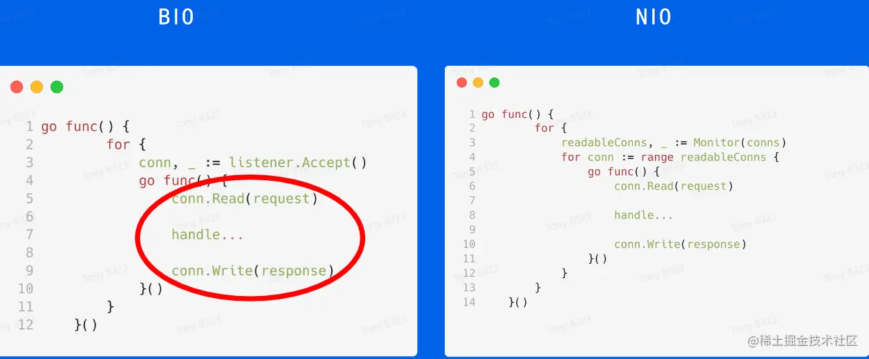 image-20230601205055116
