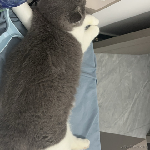 单纯_稀饭于2024-06-10 09:38发布的图片