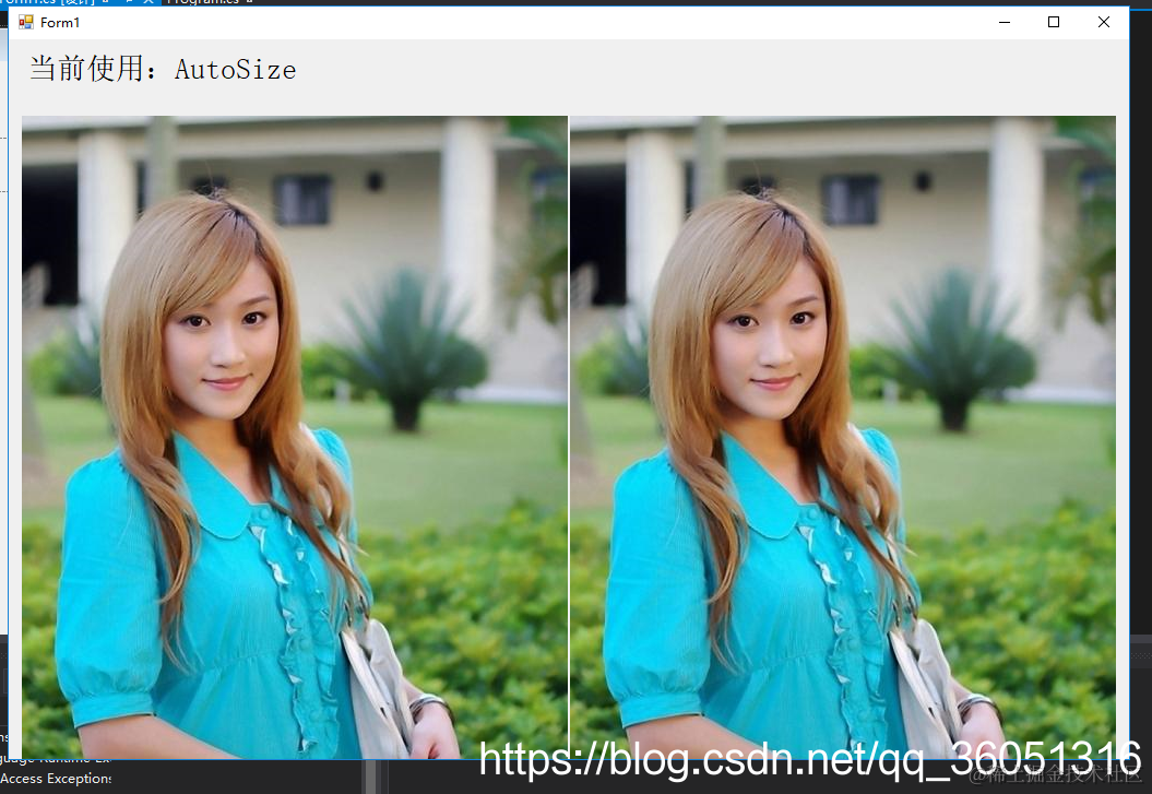 AutoSize图片展示