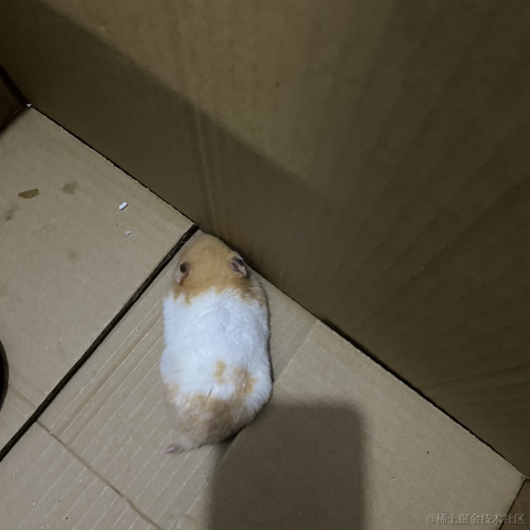 风中的殇于2022-06-11 22:53发布的图片