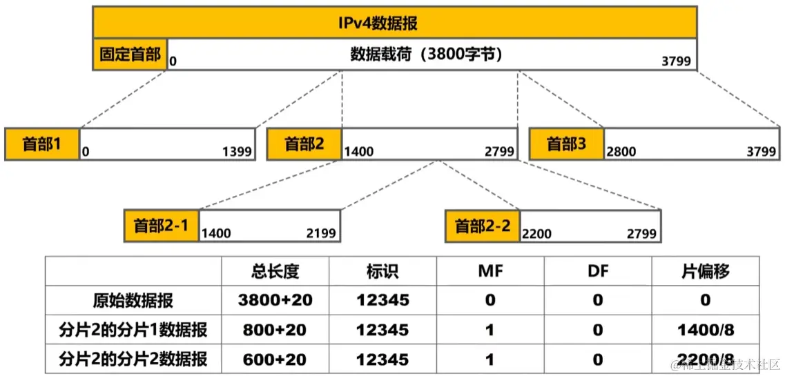 image-20230728044943511