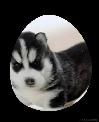 image-20230925162221828