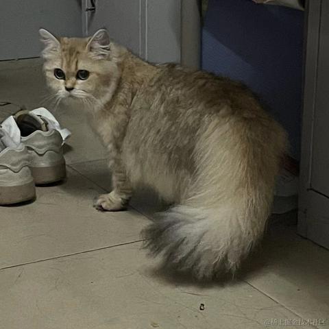 0FFH于2023-04-15 09:44发布的图片