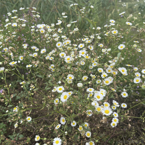 阿白49于2023-10-03 00:52发布的图片