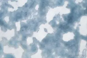 盏灯