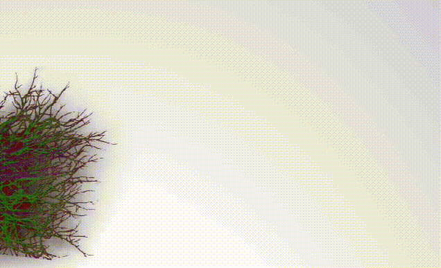 血之鼓生长模拟分解 - 瑞云渲染