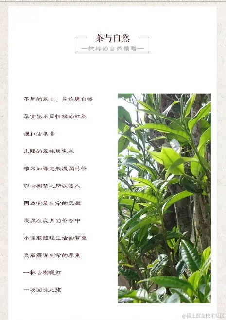 人和顺古树晒红 云南古树红茶 昌宁红散茶100g袋装 一袋包邮