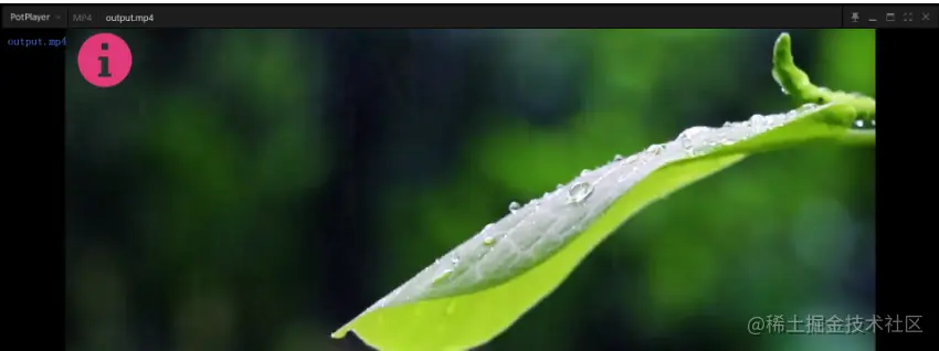 image-20220921214318441