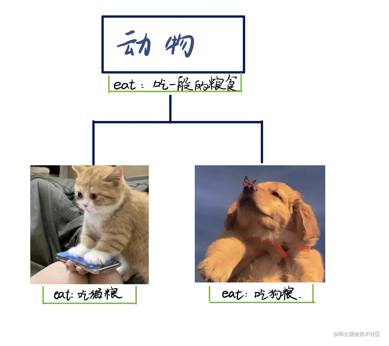 猫和狗.png