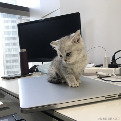 陇锦于2020-11-24 16:26发布的图片