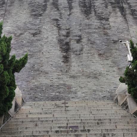 茅木车于2023-08-20 23:31发布的图片