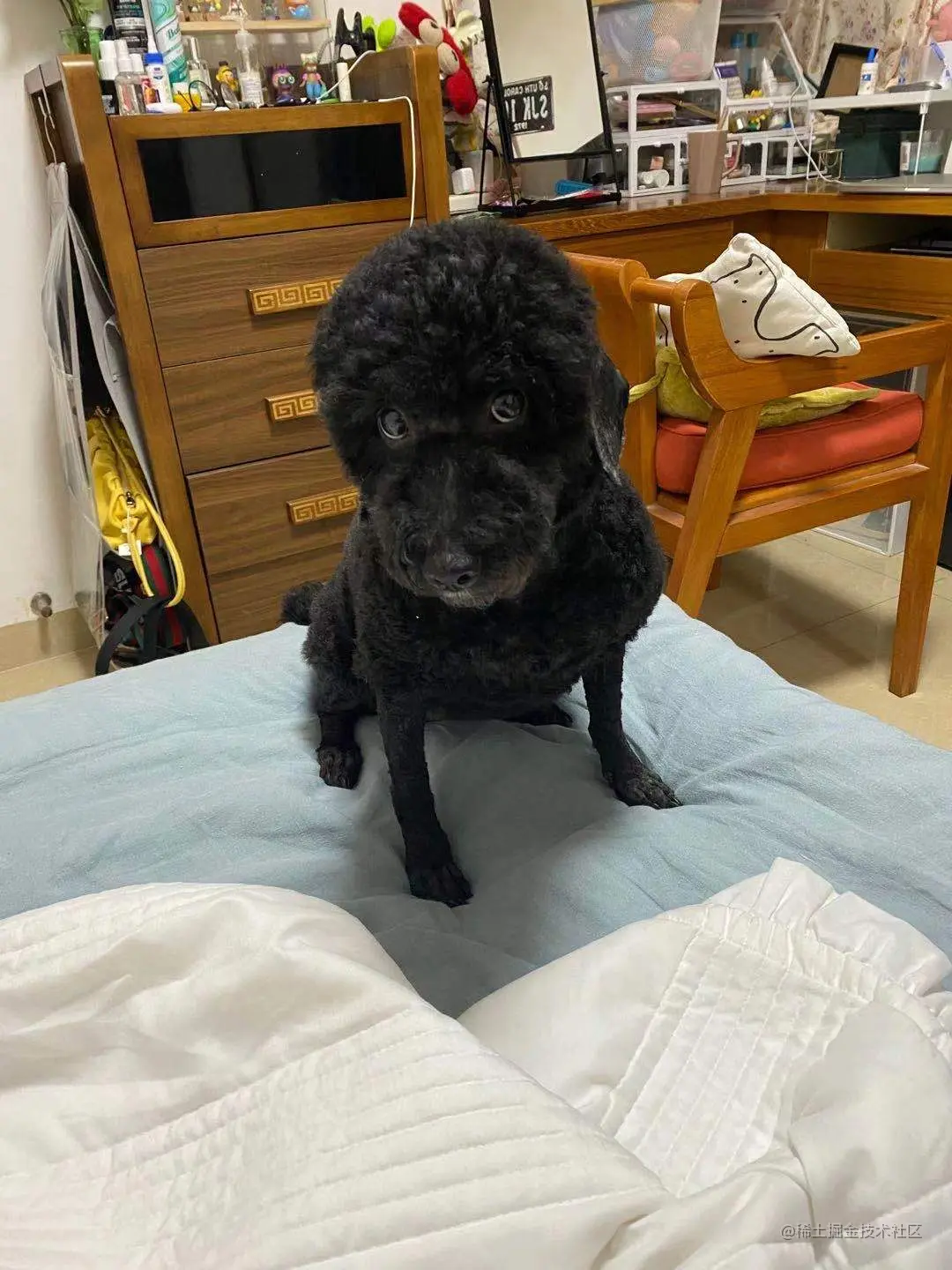 微信图片_20210428144625.jpg