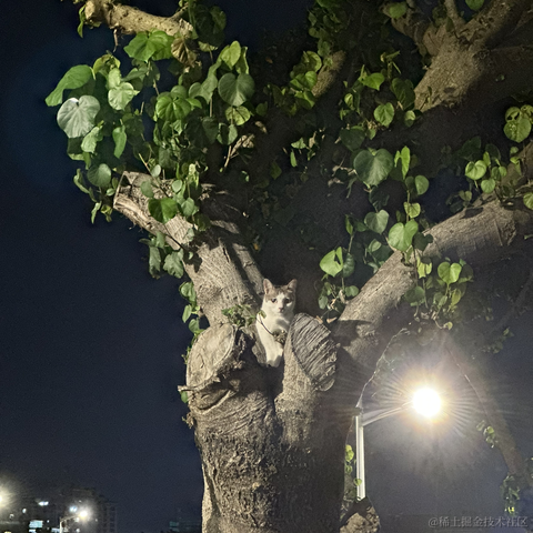 大富大贵AKkk于2023-04-15 22:26发布的图片