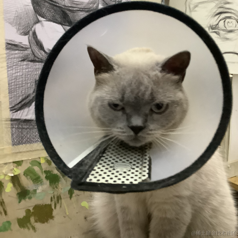 是然比不是猪比于2023-06-30 22:47发布的图片