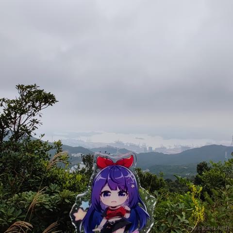 脆弱杨桃干于2022-11-12 18:04发布的图片