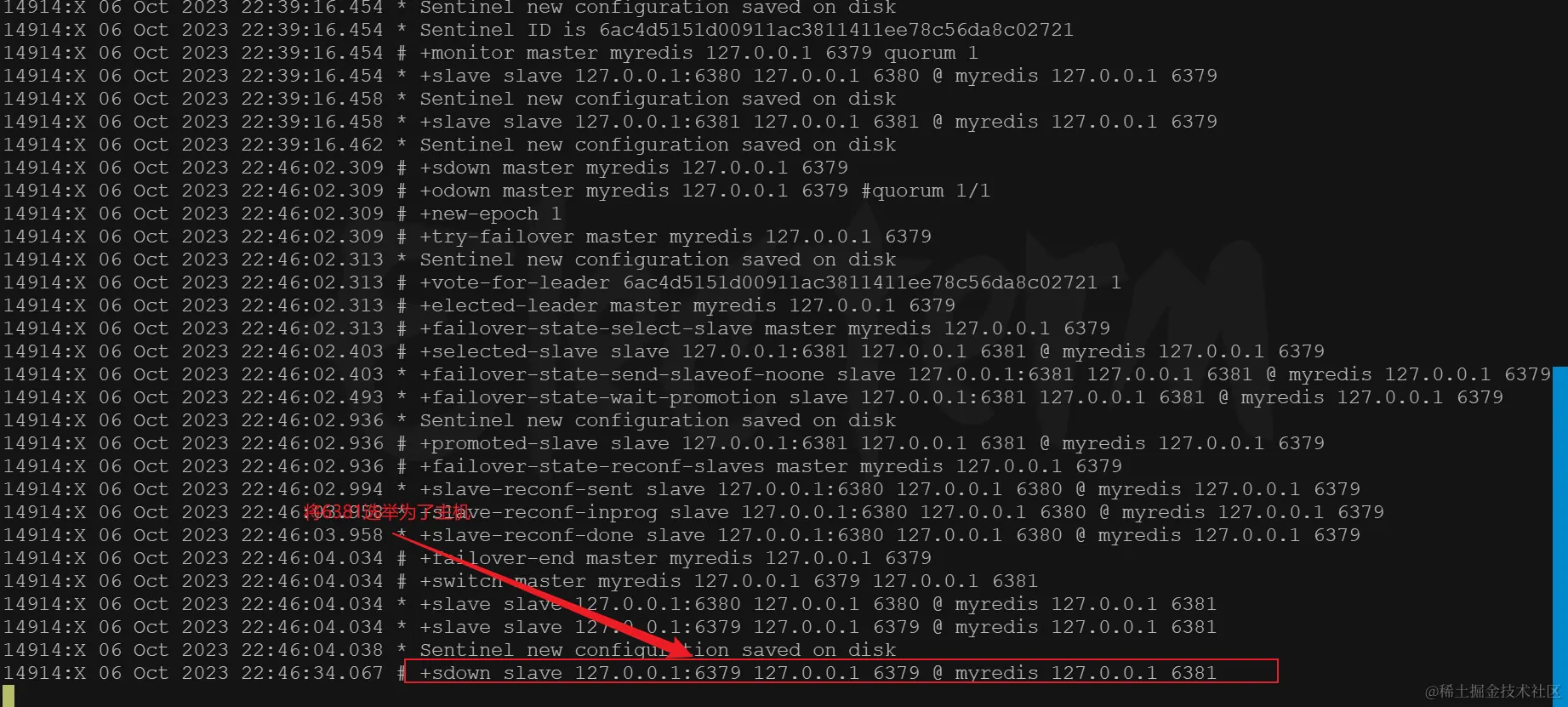 image-20231006225032440