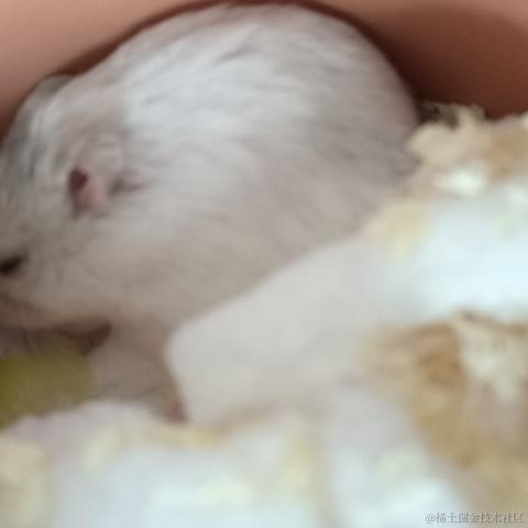 敲敲敲敲暴你脑袋于2023-10-16 07:43发布的图片