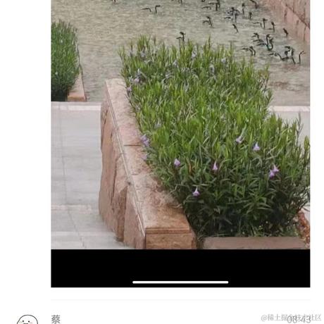 你也是ikun吗于2023-09-08 10:40发布的图片